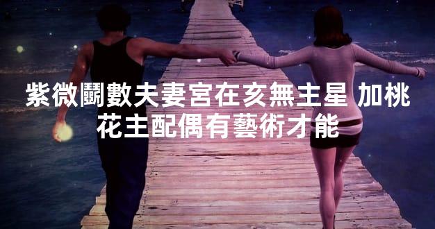 紫微鬭數夫妻宮在亥無主星 加桃花主配偶有藝術才能